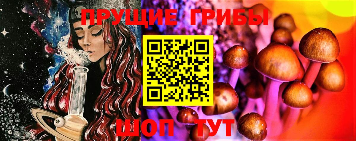 Трёхгорный  Галлюциногенные грибы Magic Shrooms  Галлюциногенные грибы Psilocybe  Вход с VPN 